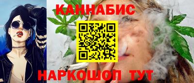 mdpv Краснознаменск